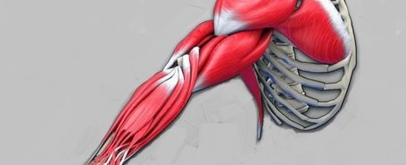 Injuries to the Arm