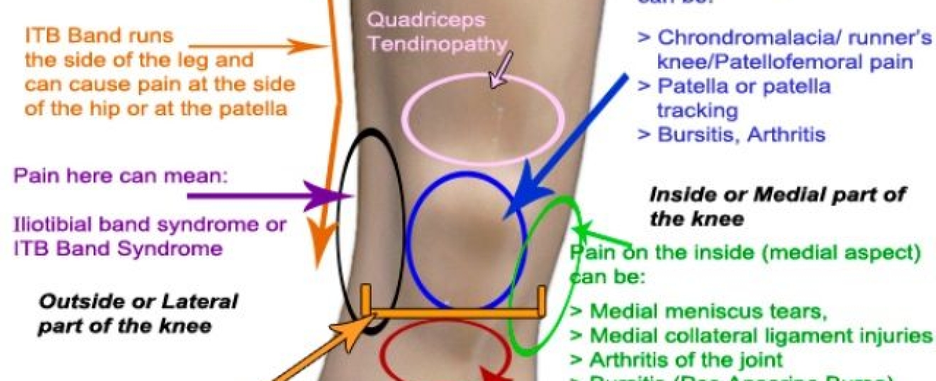 Knee Pain
