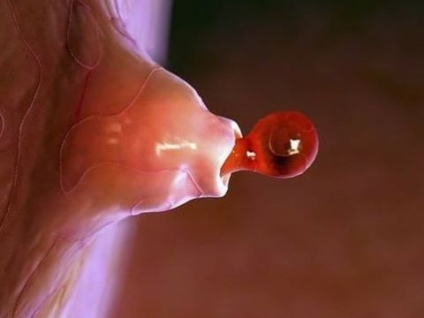 Is Fertility Massage Actually a Thing