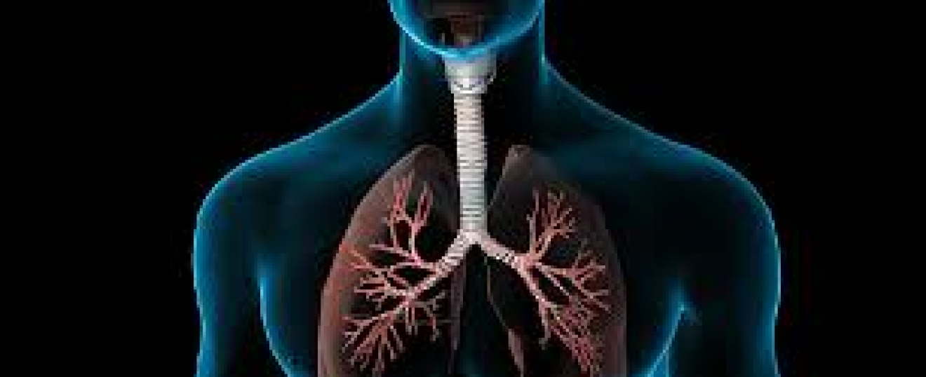 Massage for Respiratory Conditions