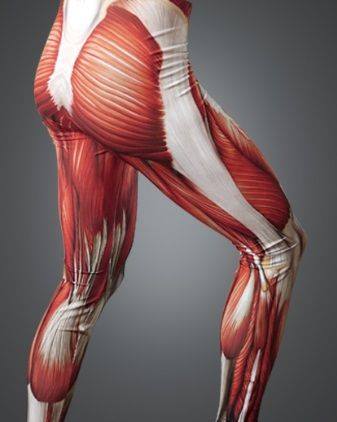 IT Band Syndrome and Lateral Knee Pain