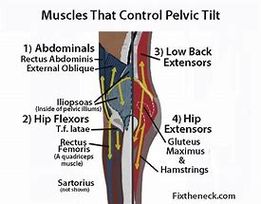 Pelvic Tilt