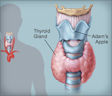 Massage for Thyroid Problems